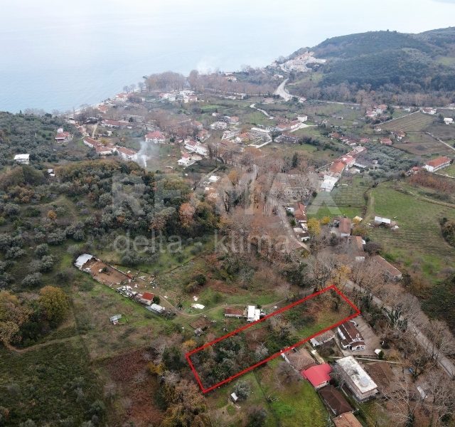1099-340441.jpg
