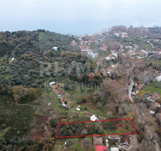 1099-3404546.jpg