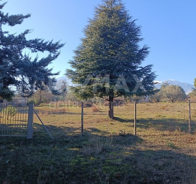 1116-62511817.jpg