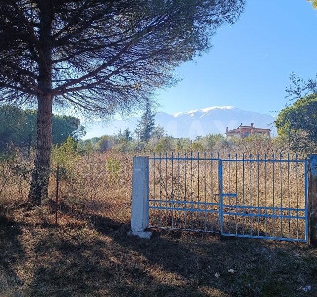 1116-62518506.jpg