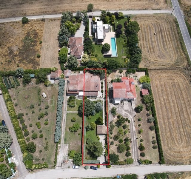 1121-41227705.jpg