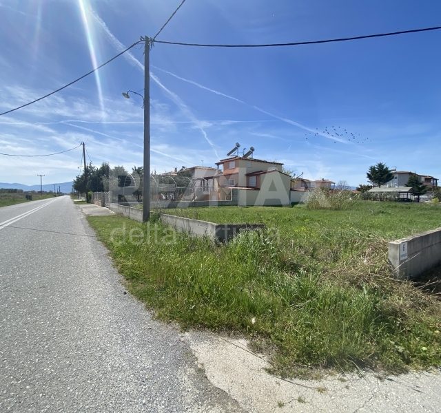 1130-54151906.jpg