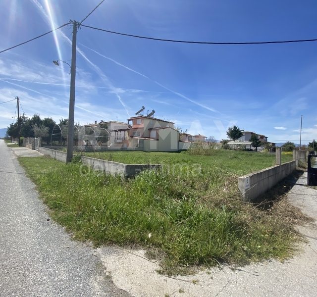 1130-54157902.jpg