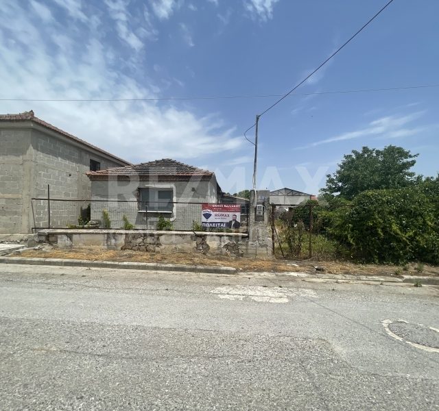 288-56459281.jpg