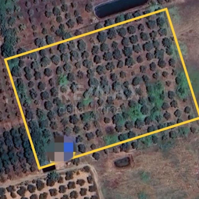 4340-63565921.jpg