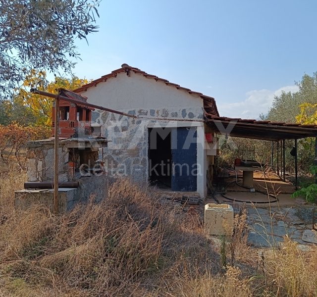 4340-63566151.jpg
