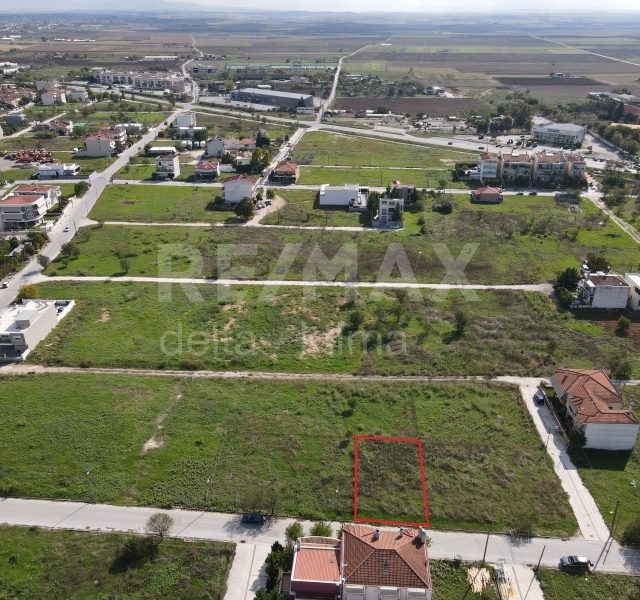 7-45548528.jpg