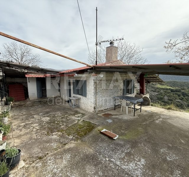 1099-67848505.jpg