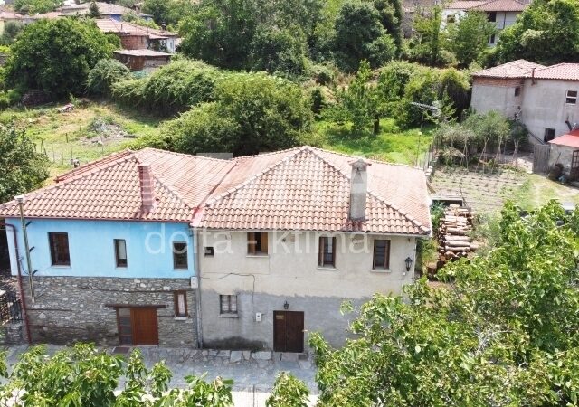 1127-72731704.jpg