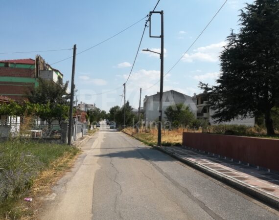 1142-72222064.jpg
