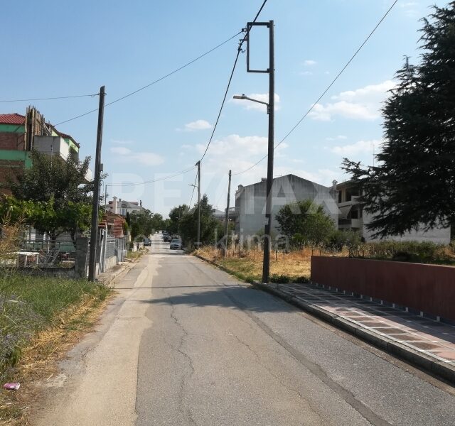 1142-72222064.jpg