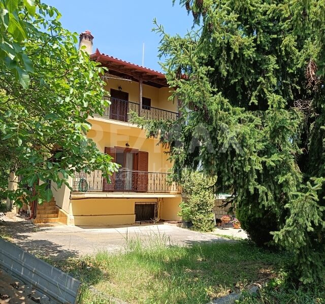 1116-72154524.jpg