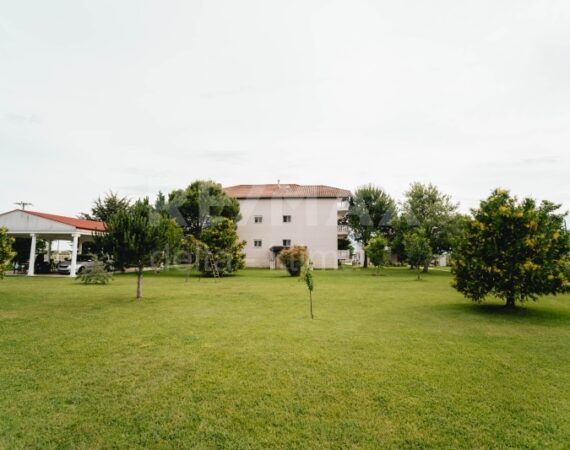 1120-70349232.jpg