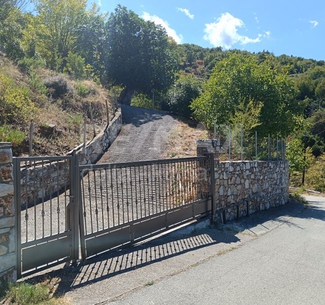 1116-75824494.jpg