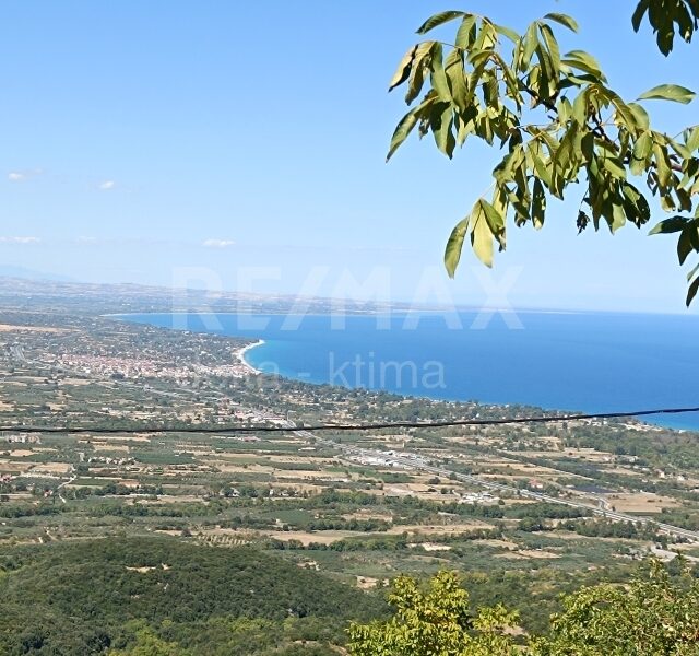 1116-75827660.jpg