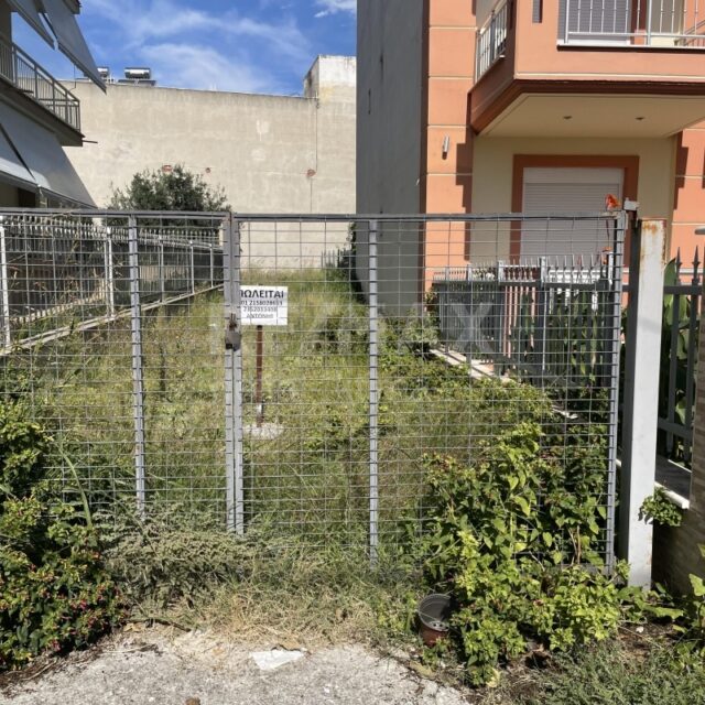 4341-46062734.jpg
