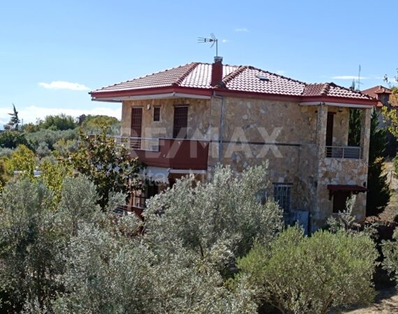 1116-77822138.jpg