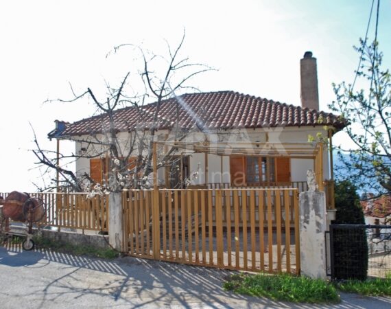 1128-25253466.jpg