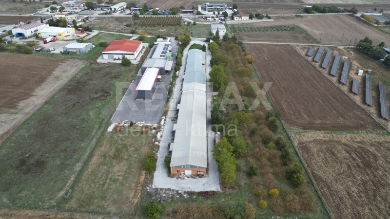 4343-64297764.jpg