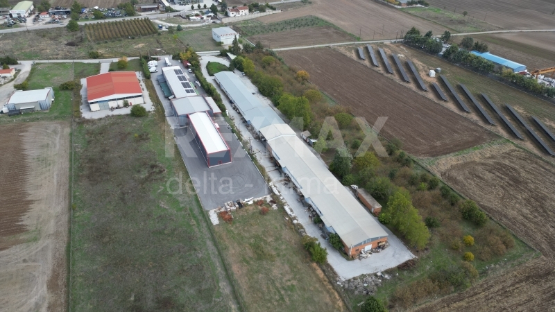4343-7825912.jpg