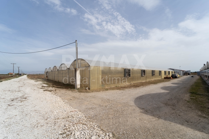 4343-60914429.jpg