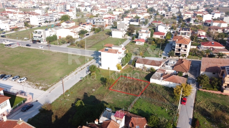 7-78961907.jpg