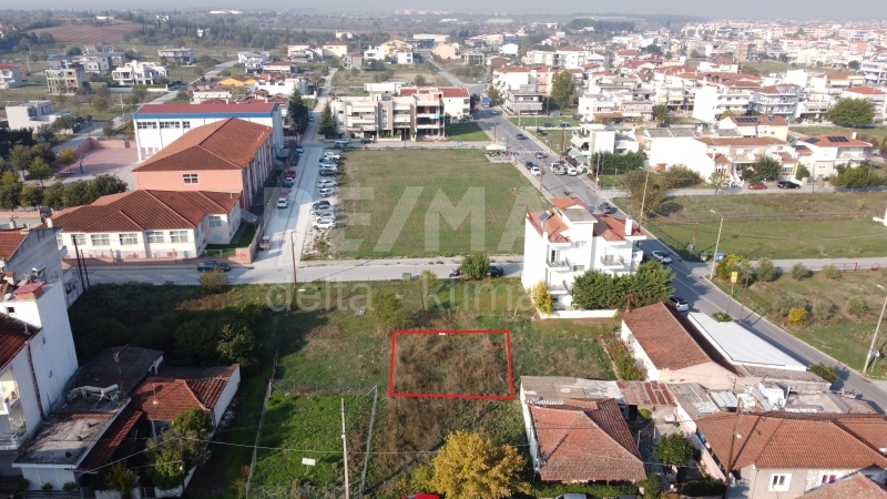 7-78963639.jpg