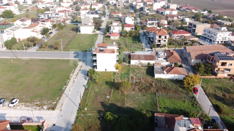 7-78964627.jpg