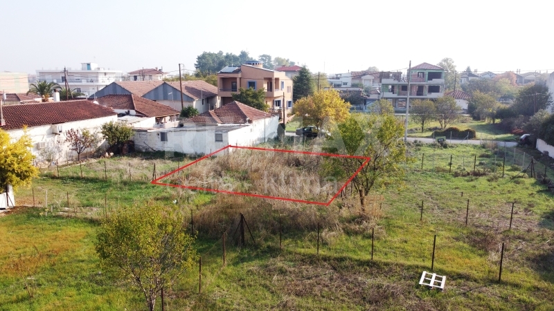 7-78964650.jpg
