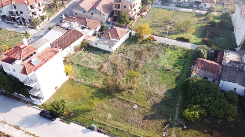 7-78965728.jpg
