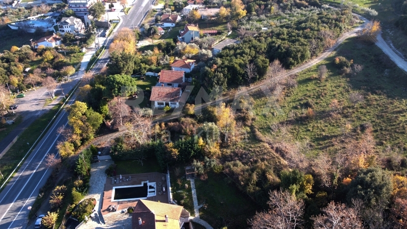 7-80667700.jpg