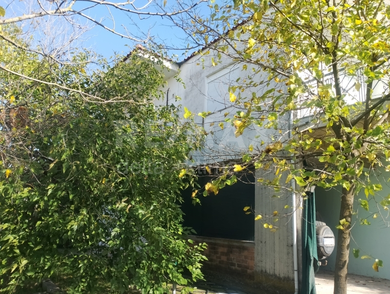 1110-80912106.jpg