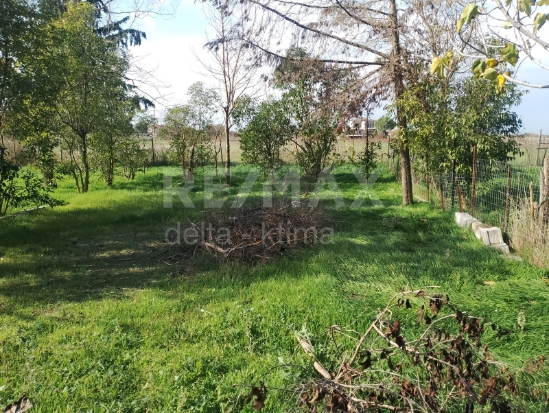 1110-80913847.jpg