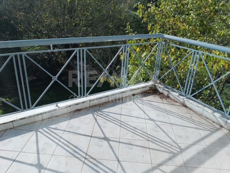 1110-80916674.jpg