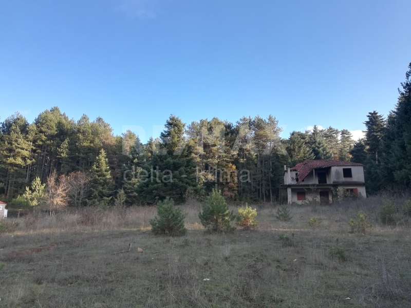 1142-82352705.jpg
