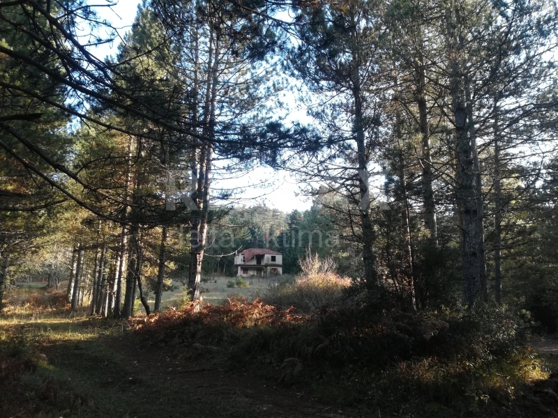 1142-82358300.jpg