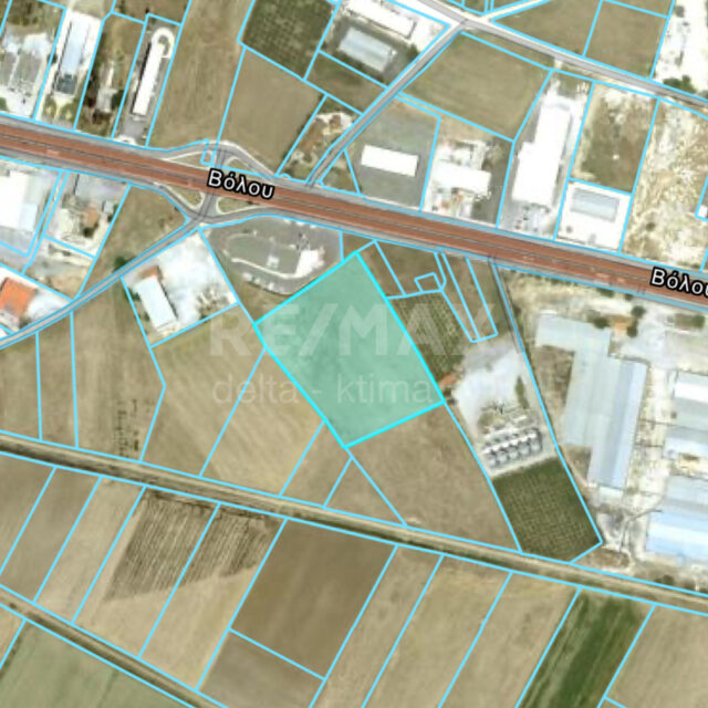 1099-78211959.jpg