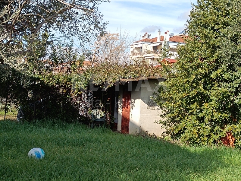 1116-83268000.jpg