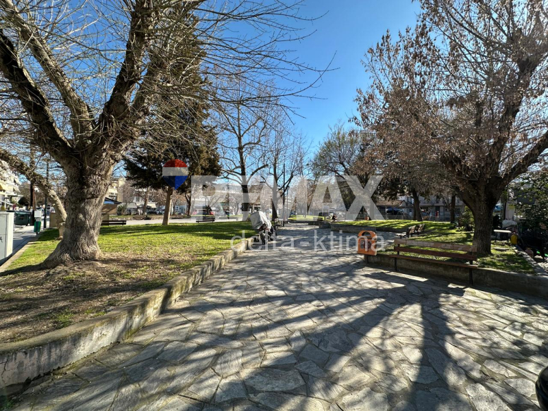 1142-83863394.jpg