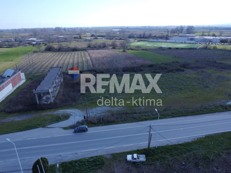 4341-64354308.jpg