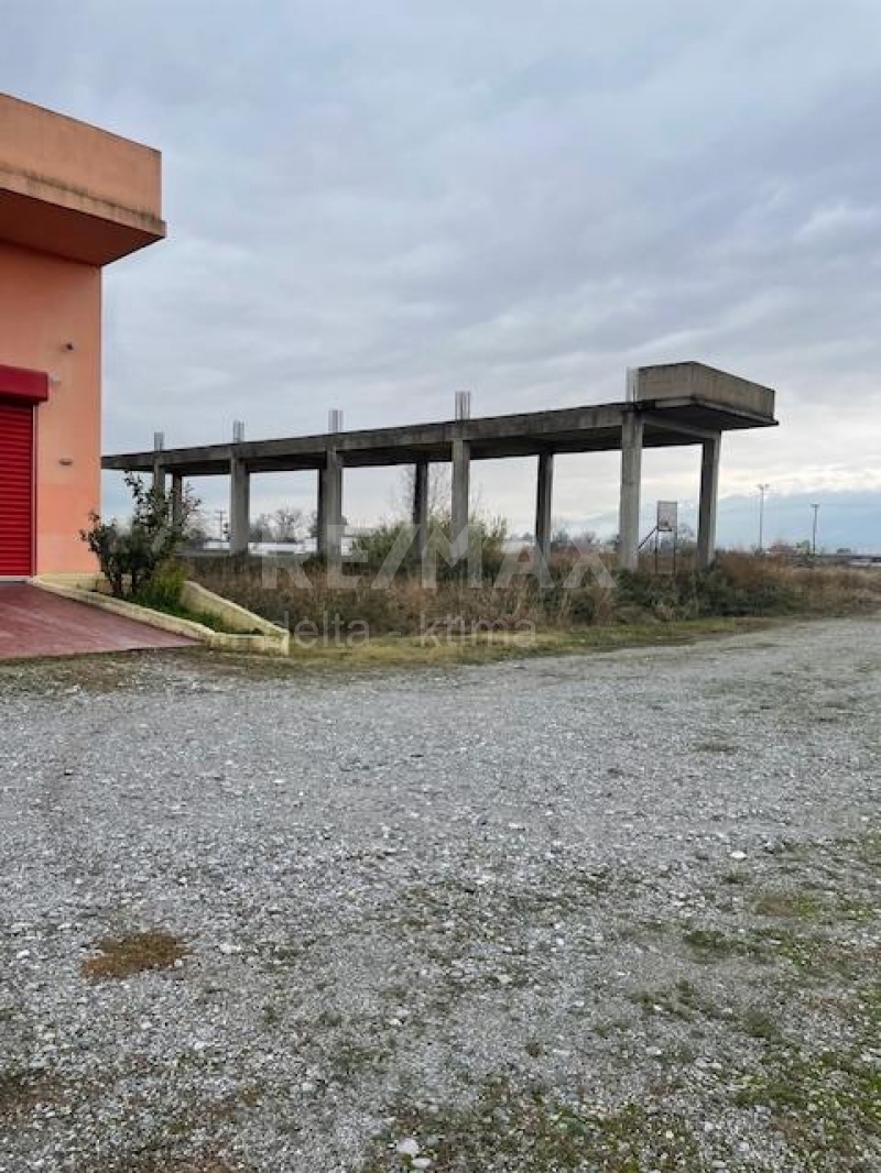 4341-6435532.jpg