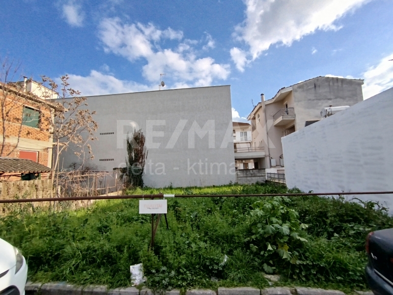 4358-67818484.jpg