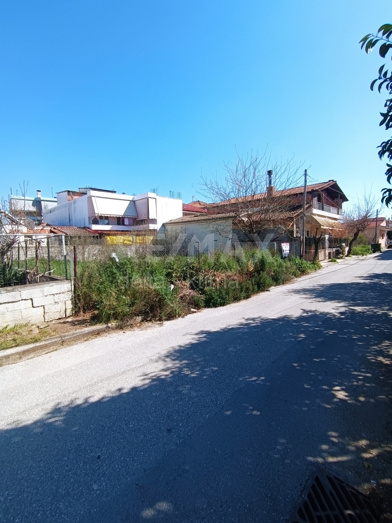 1121-68337781.jpg