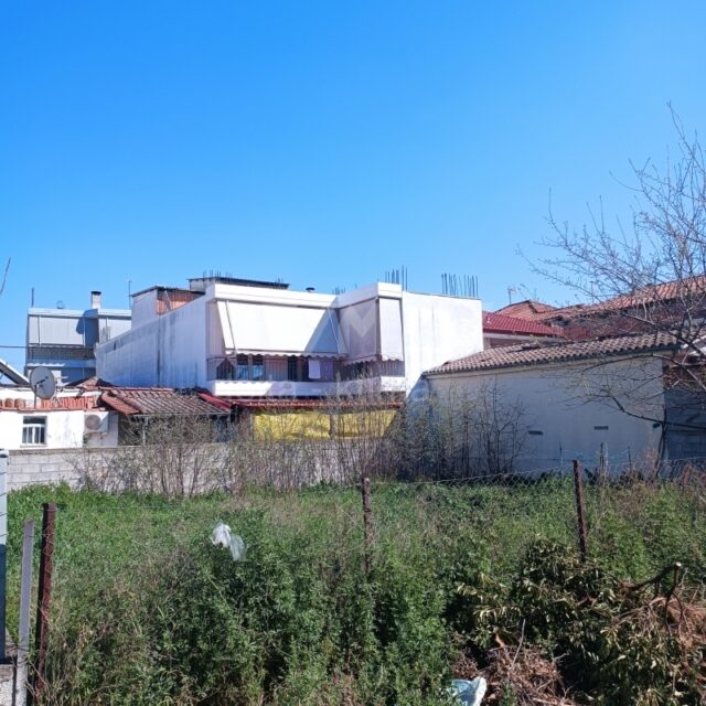 1121-68338907.jpg