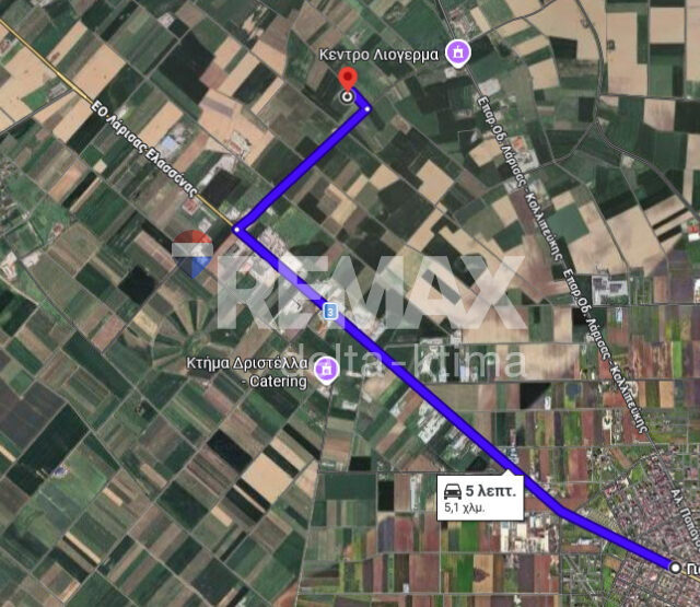 1142-87476441.jpg