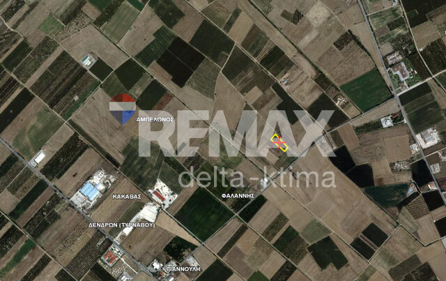 1142-87478994.jpg