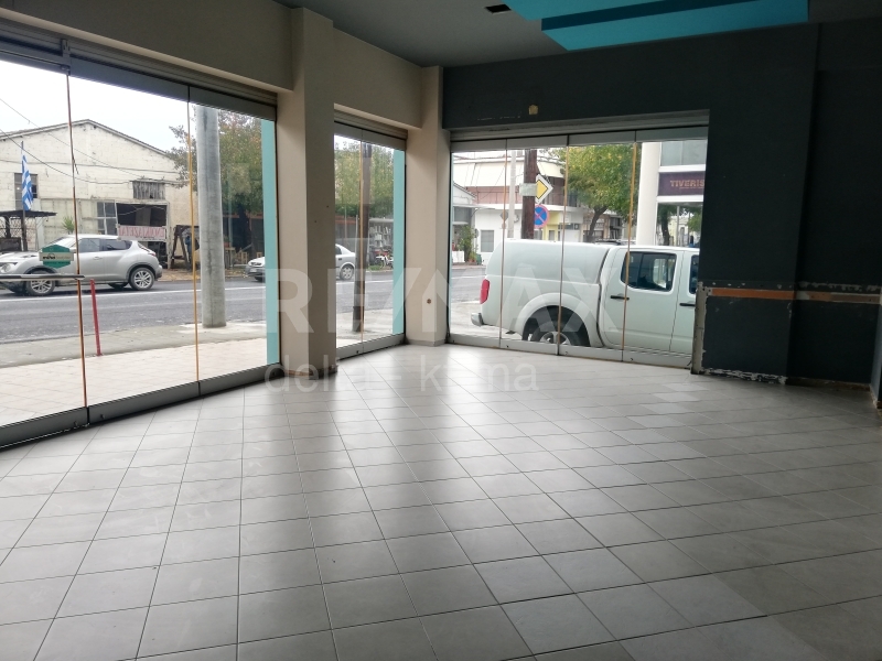 4359-81633896.jpg