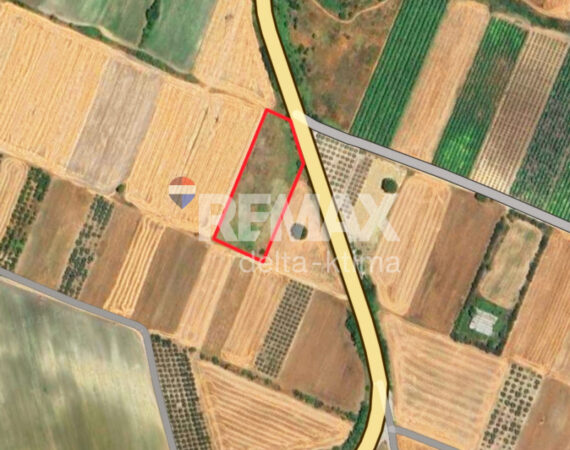 1116-88597607.jpg