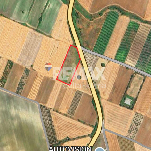 1116-88597607.jpg