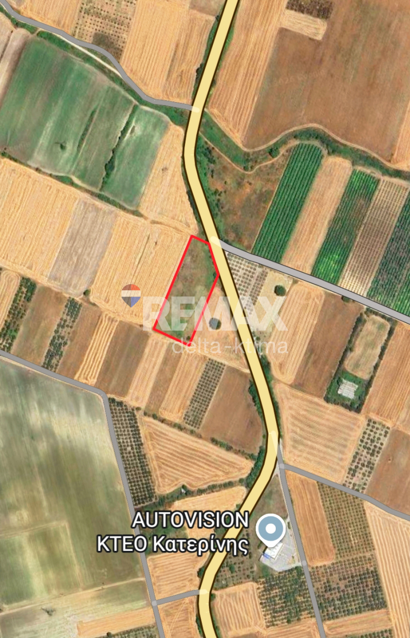 1116-88597607.jpg